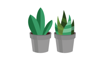 Illustration of couple of green plants in gray flower pots