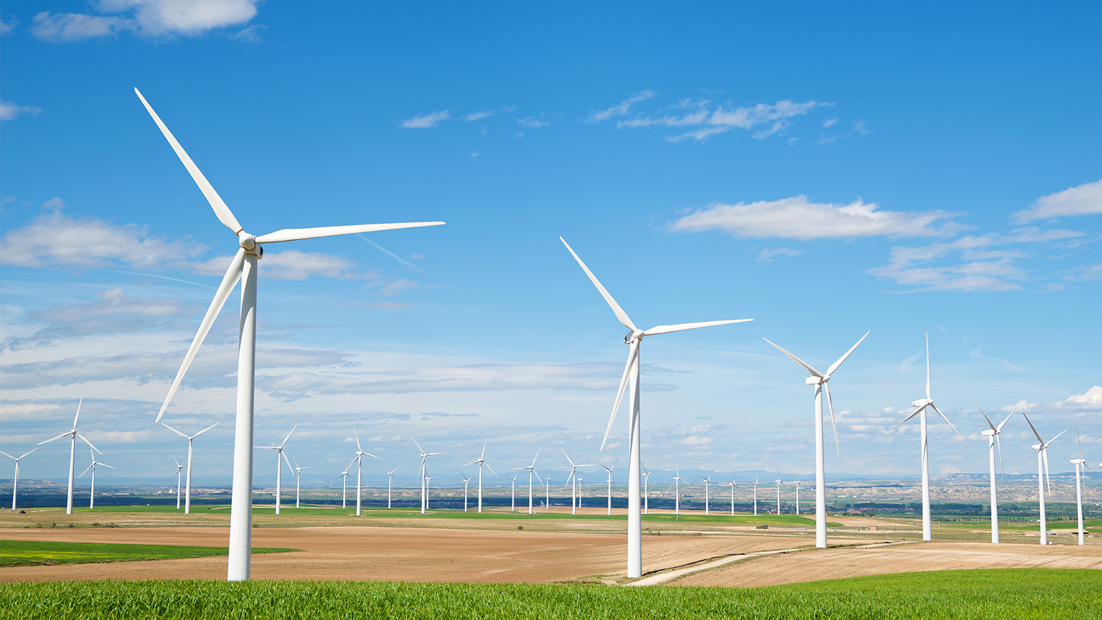 Wind farm with group of wind turbines