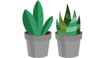 Illustration of couple of green plants in gray flower pots
