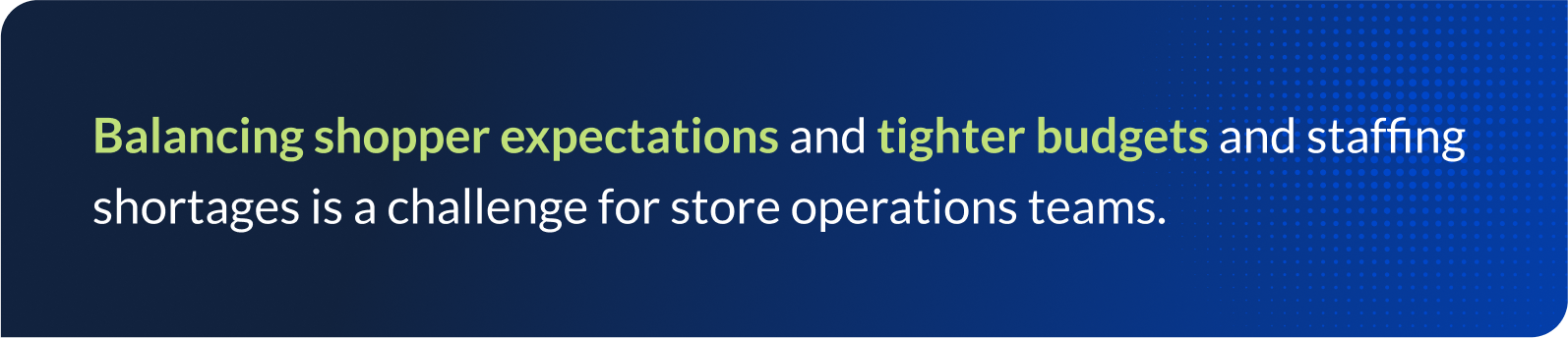 Balancing shopper expectations and tighter budgets and staffing shortages is a challenge for store operations teams.