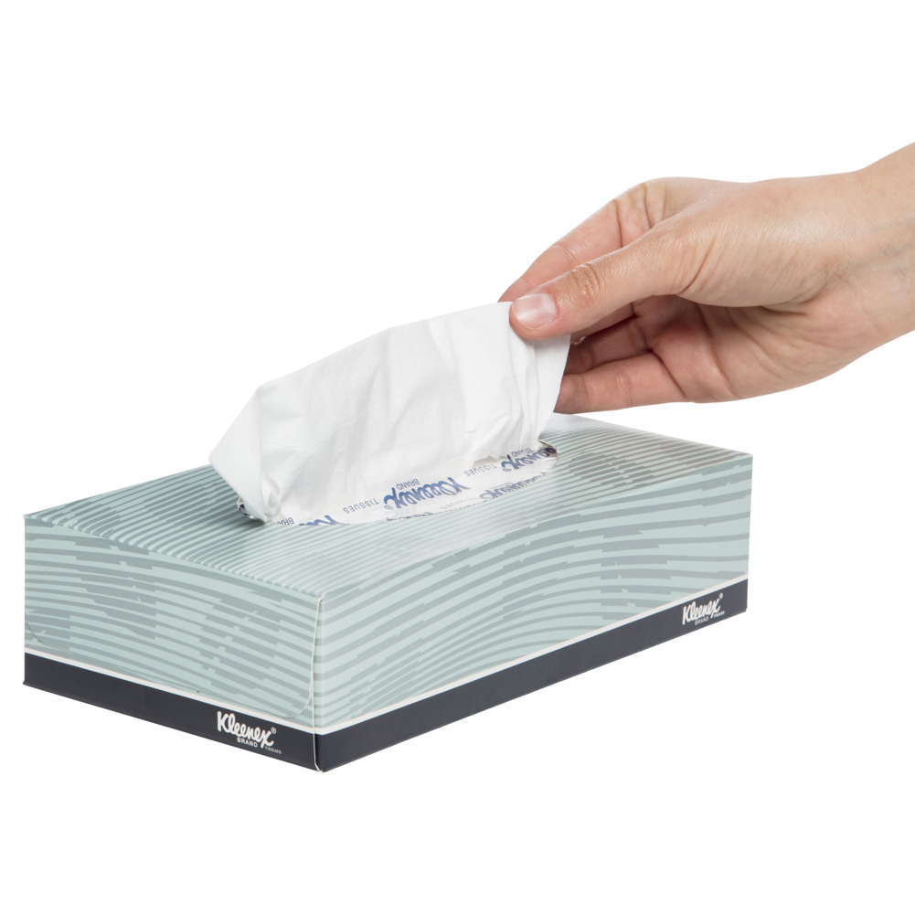 KLEENEX® Facial Tissue Box (4720), 2 Ply Flat Box, 48 Boxes / Case, 100 Tissues / Box (4,800 Tissues) - S050058614