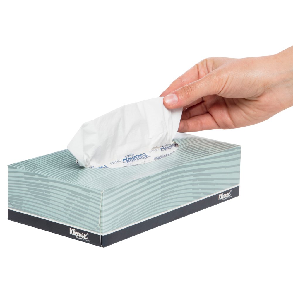 KLEENEX® Facial Tissue Box (4720), 2 Ply Flat Box, 48 Boxes / Case, 100 Tissues / Box (4,800 Tissues) - S050058614