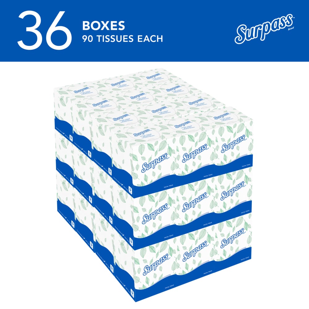 Surpass® Facial Tissue (21320), 2-Ply, White, Ecologo, Upright Facial Tissue Cube Boxes for Business (90 Tissues/Box, 36 Boxes/Case, 3,240 Tissues/Case) - 21320