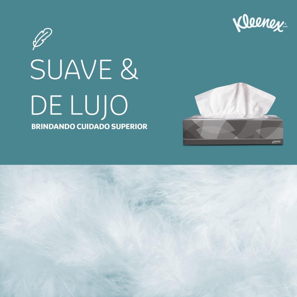 Kleenex® Boîtes de mouchoirs 8835 - 40 x paquets de 100 mouchoirs (4000 au total) - 8815